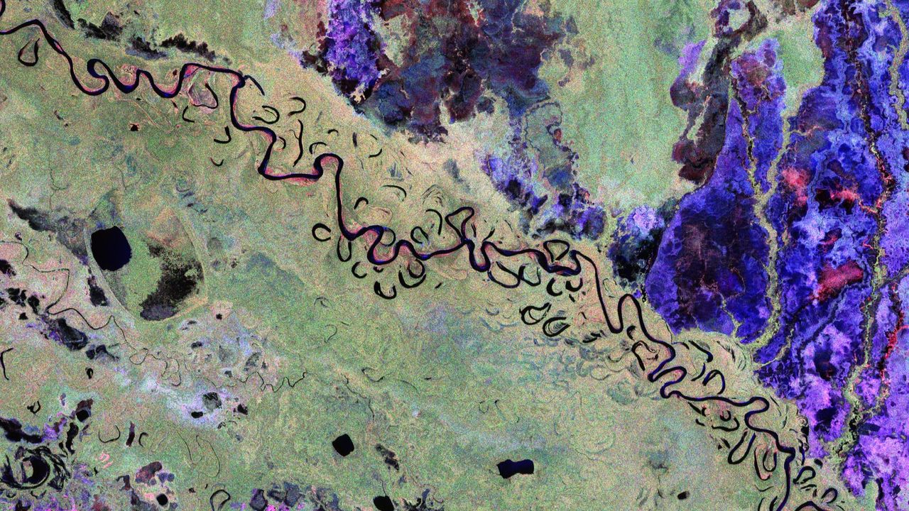 Regnskog i Bolivia